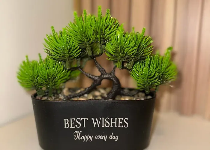 Appartamento First Line 2